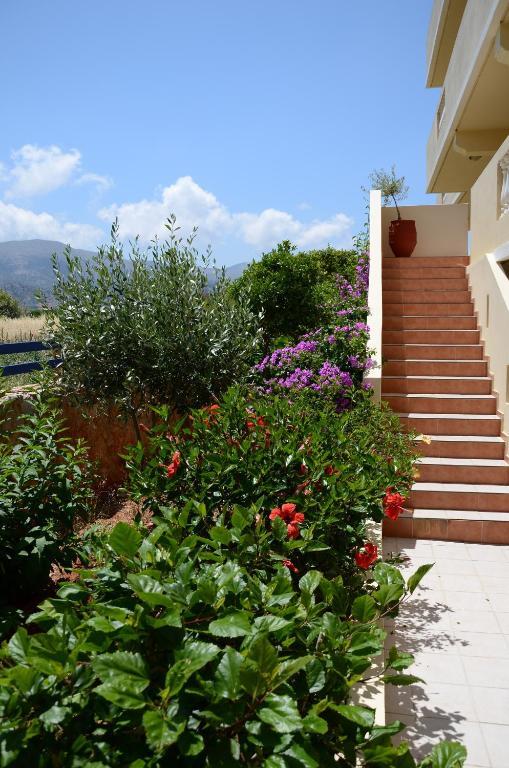 ماليا Cretan Family Apartments المظهر الخارجي الصورة